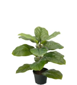 Fiolfikus, kunstig plante 40cm