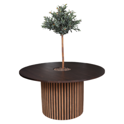 Aya Bordet i Massiv røget eg