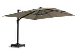 Palma parasol 3